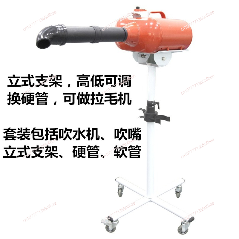 เครื่องเป่าขนสัตว์เลี้ยงกำลังส - Hot Dog Press บทวิจารณ์และราคา